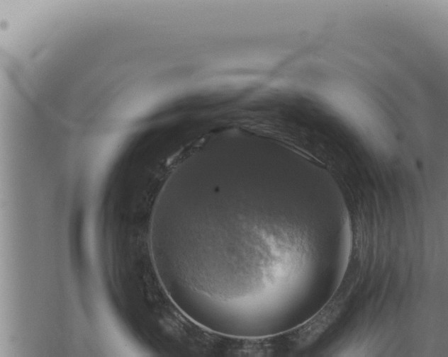 X0000068840383200605121413