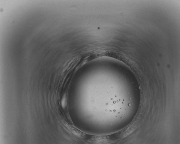 X0000068840384200605121413