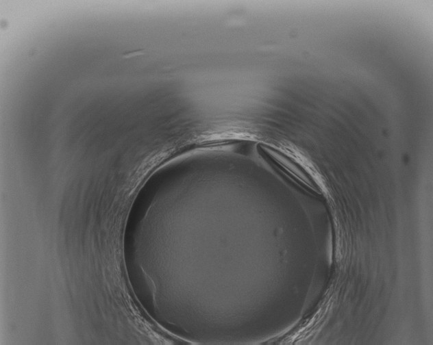 X0000068840385200605121412