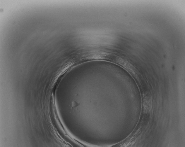 X0000068840386200605121412