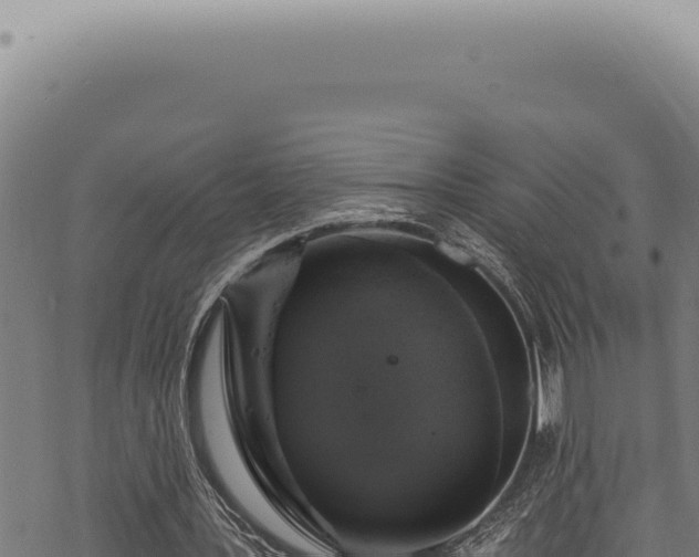 X0000068840387200605121412