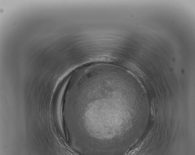 X0000068840388200605121412