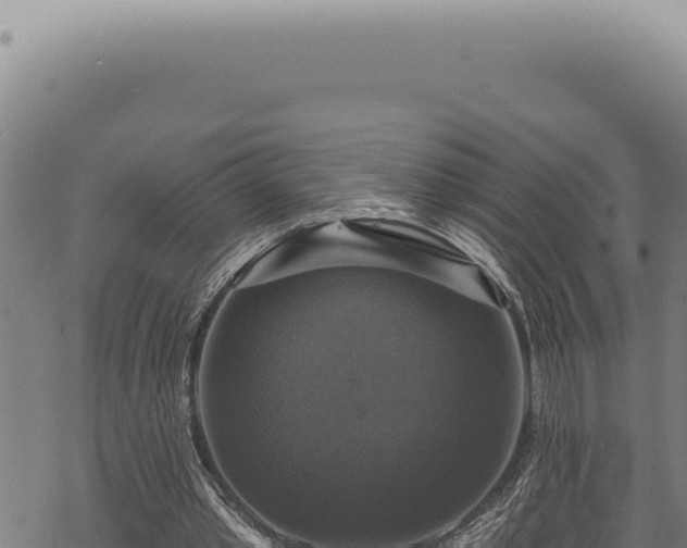 X0000068840389200605121412