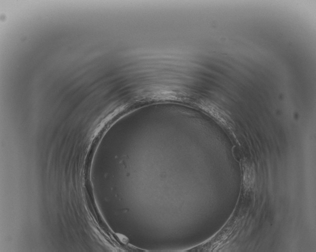 X0000068840390200605121412