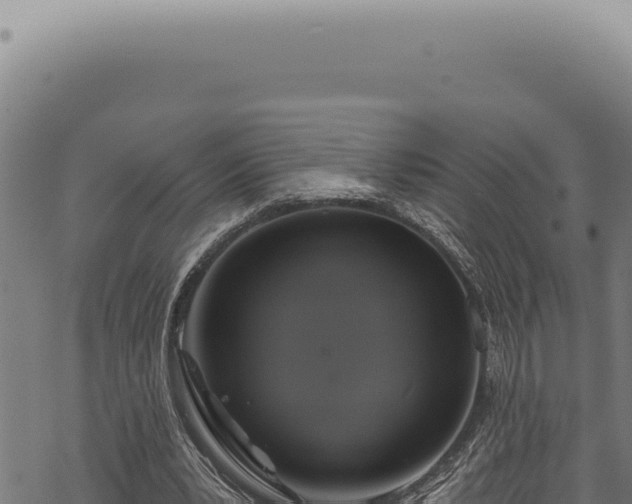 X0000068840391200605121412