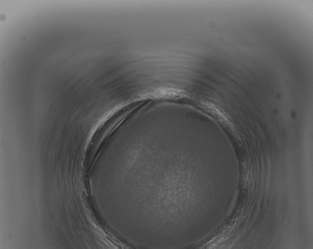 X0000068840392200605121412