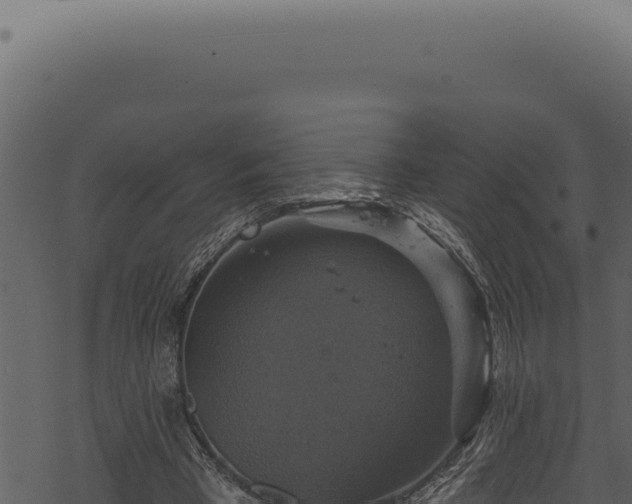 X0000068840393200605121412