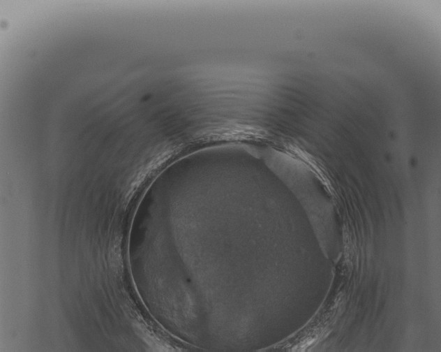 X0000068840394200605121412