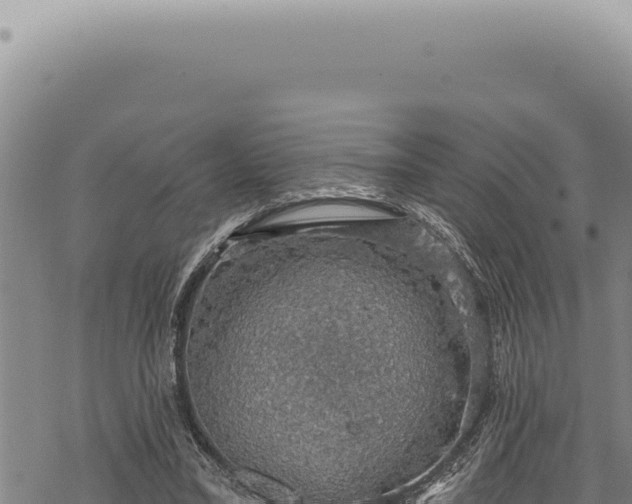 X0000068840395200605121412