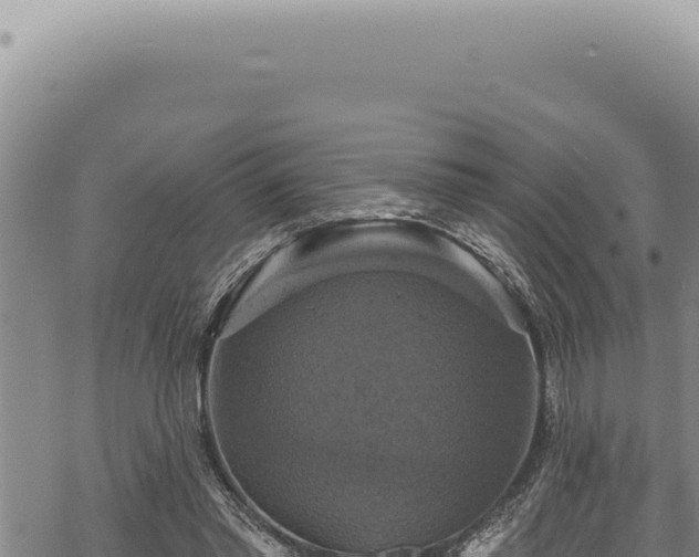 X0000068840397200605121412