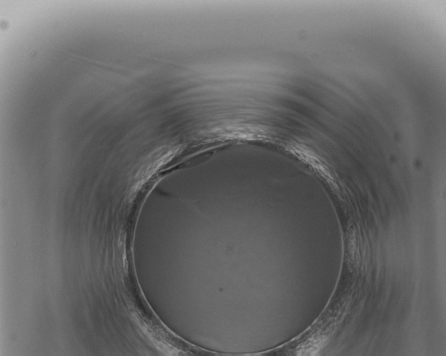 X0000068840398200605121412