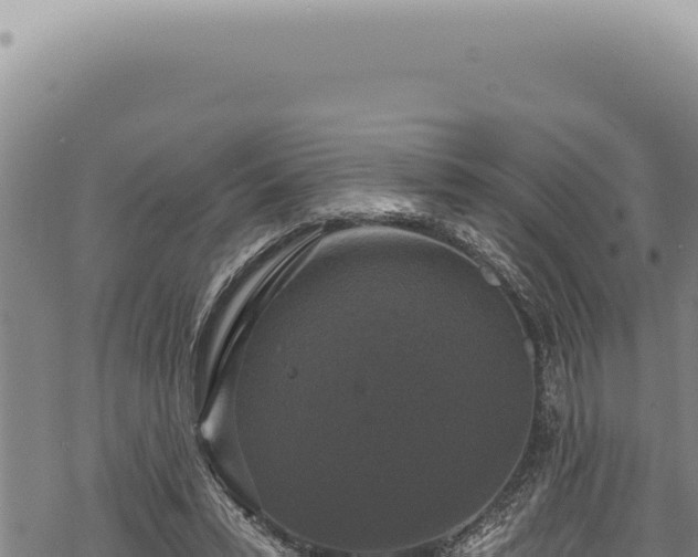 X0000068840399200605121412