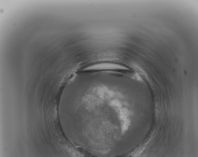 X0000068840401200605121412