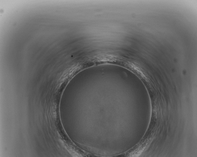 X0000068840402200605121412