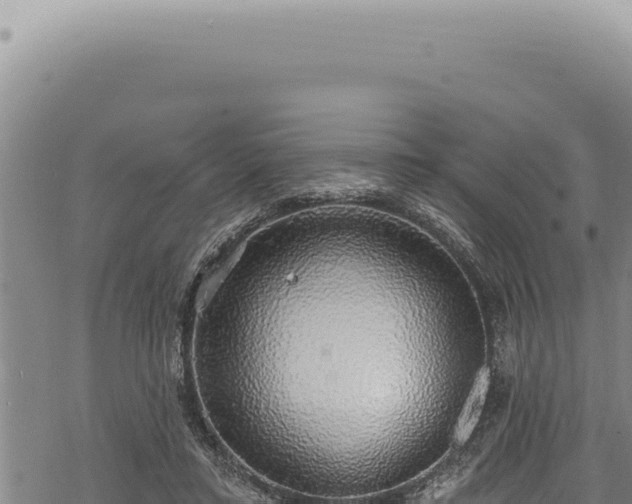 X0000068840403200605121412