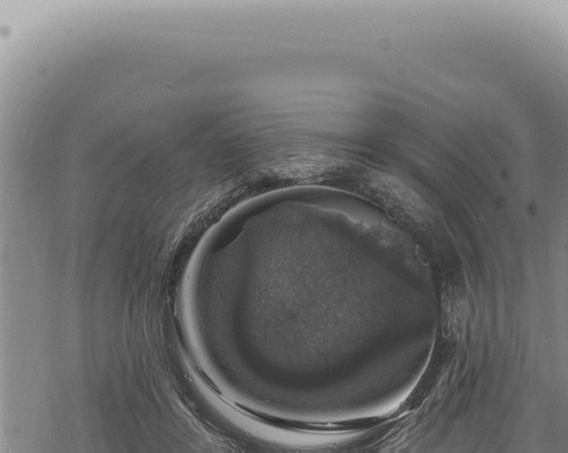 X0000068840404200605121412