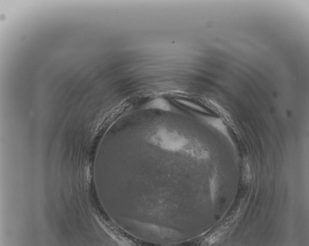 X0000068840405200605121412