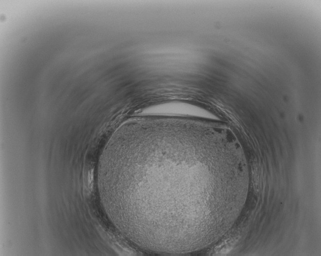 X0000068840406200605121412