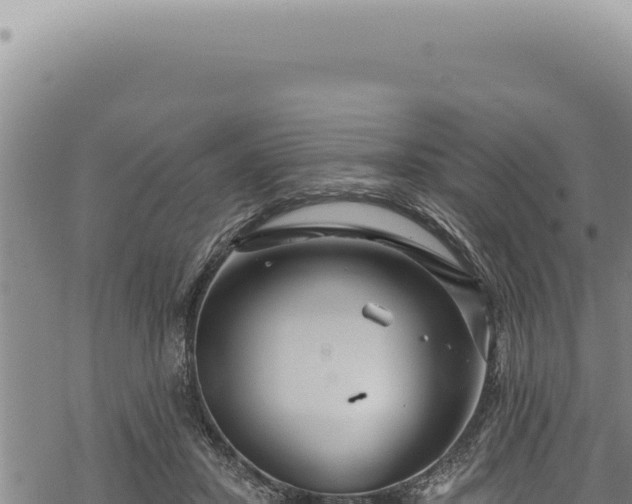 X0000068840407200605121412