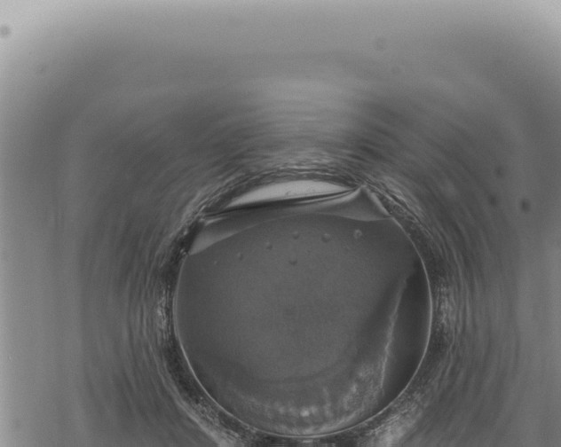 X0000068840408200605121412