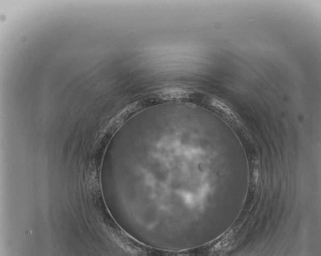 X0000068840411200605121412