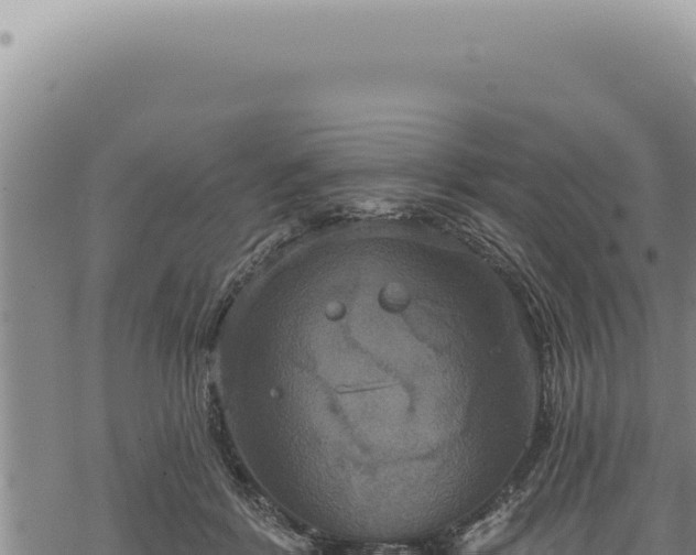 X0000068840412200605121412