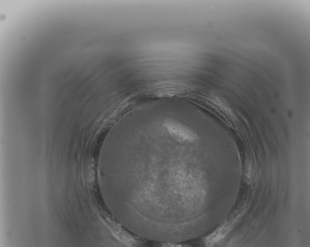 X0000068840413200605121411