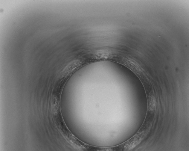 X0000068840414200605121411