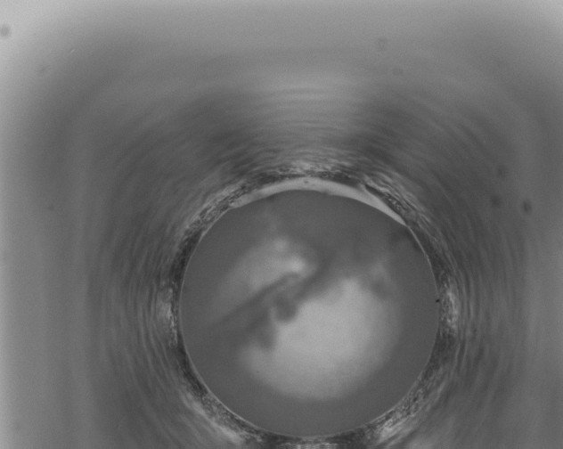 X0000068840415200605121411