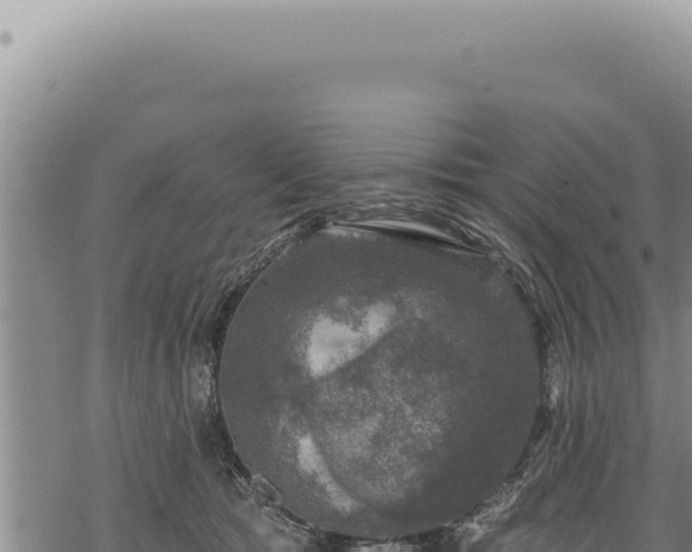 X0000068840417200605121411