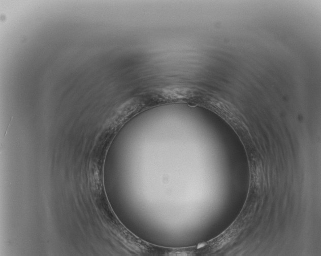 X0000068840418200605121411