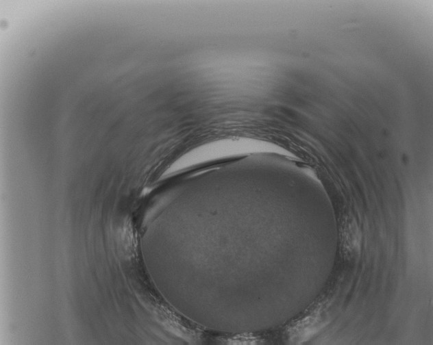 X0000068840420200605121411