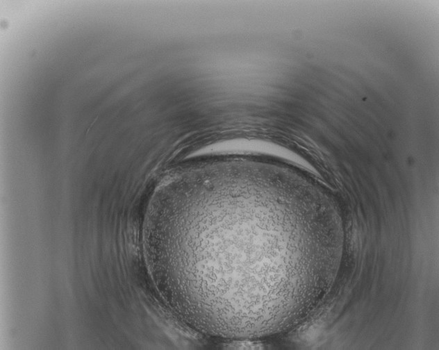 X0000068840421200605121411