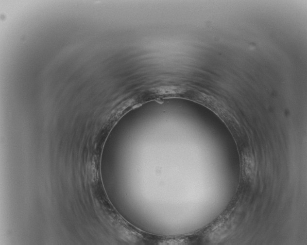 X0000068840422200605121411