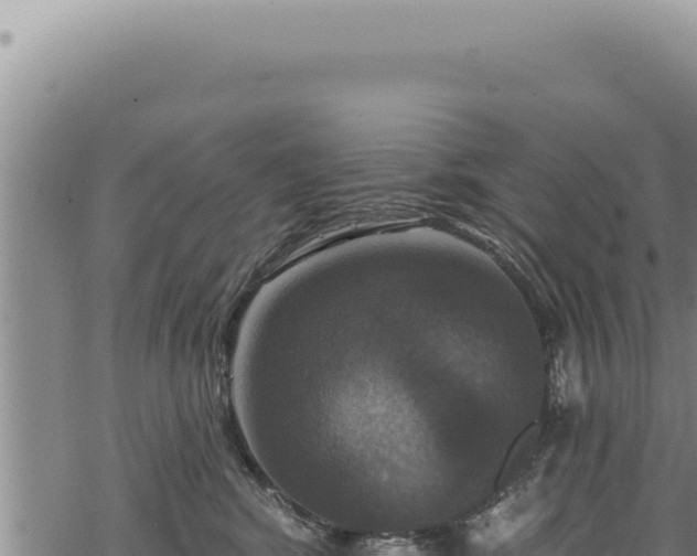 X0000068840424200605121411