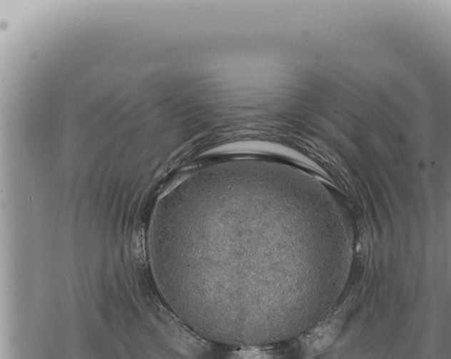 X0000068840425200605121411