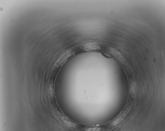 X0000068840426200605121411