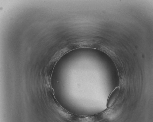 X0000068840430200605121411