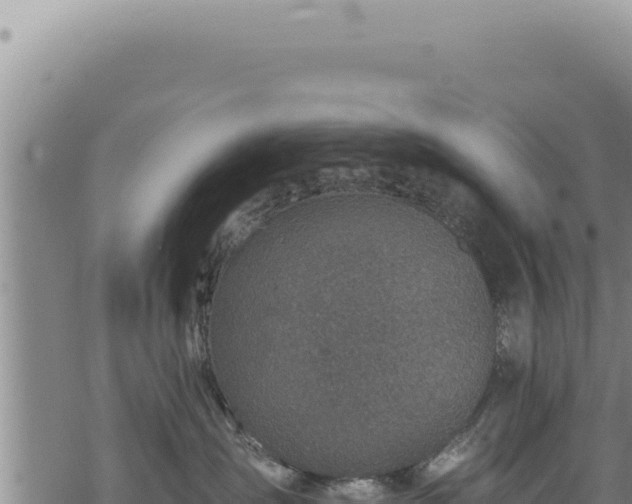 X0000068840431200605121411