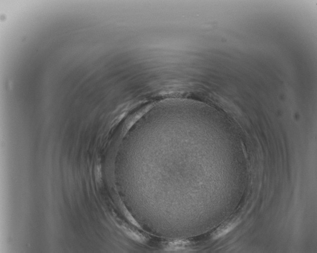 X0000068840432200605121411