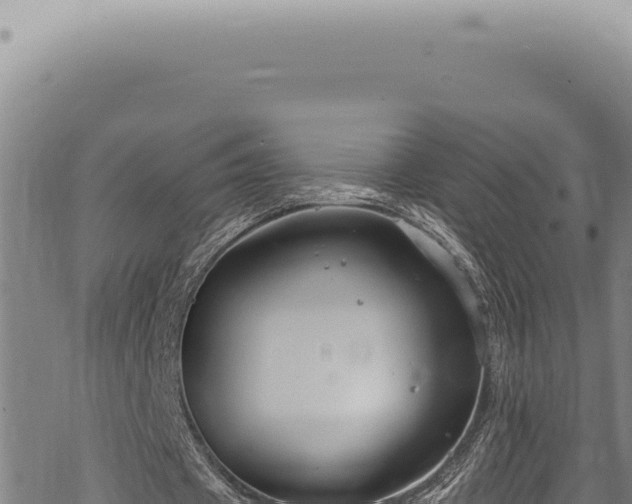 X0000068840433200605121410