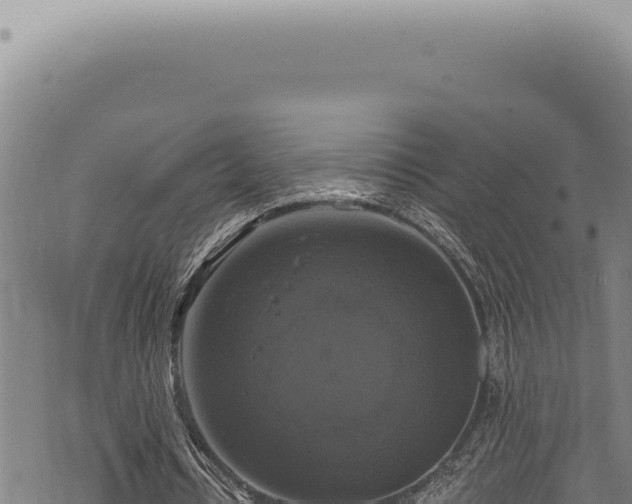 X0000068840434200605121410