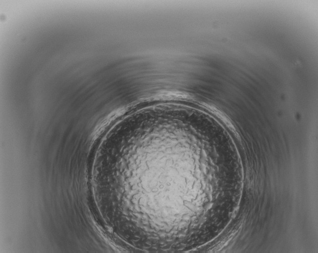 X0000068840437200605121410