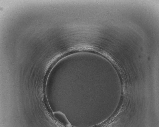 X0000068840438200605121410