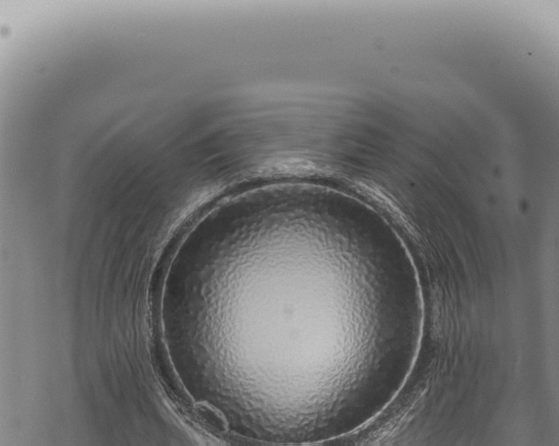 X0000068840439200605121410