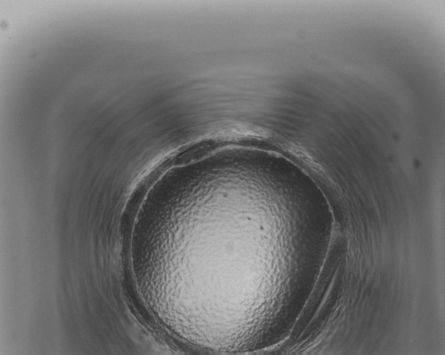 X0000068840440200605121411