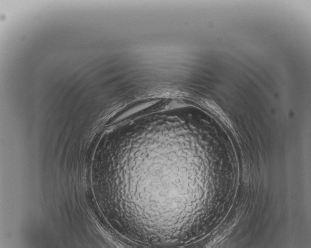 X0000068840441200605121411