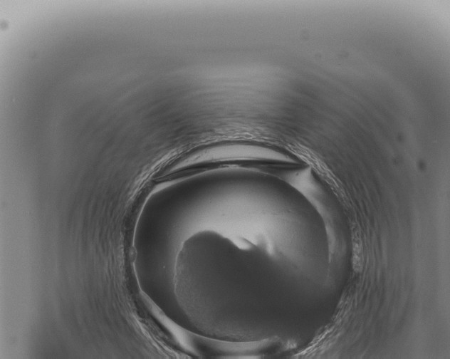 X0000068840442200605121411