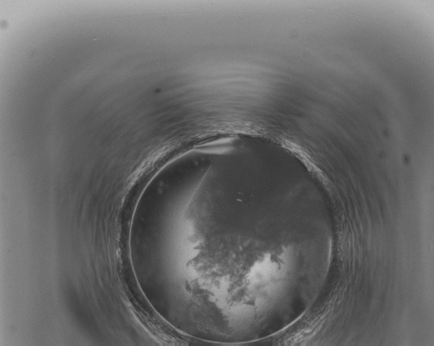 X0000068840443200605121411