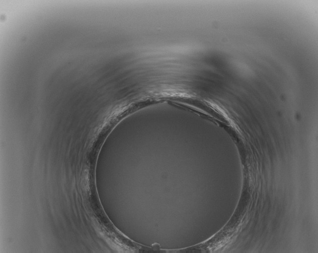 X0000068840447200605121411